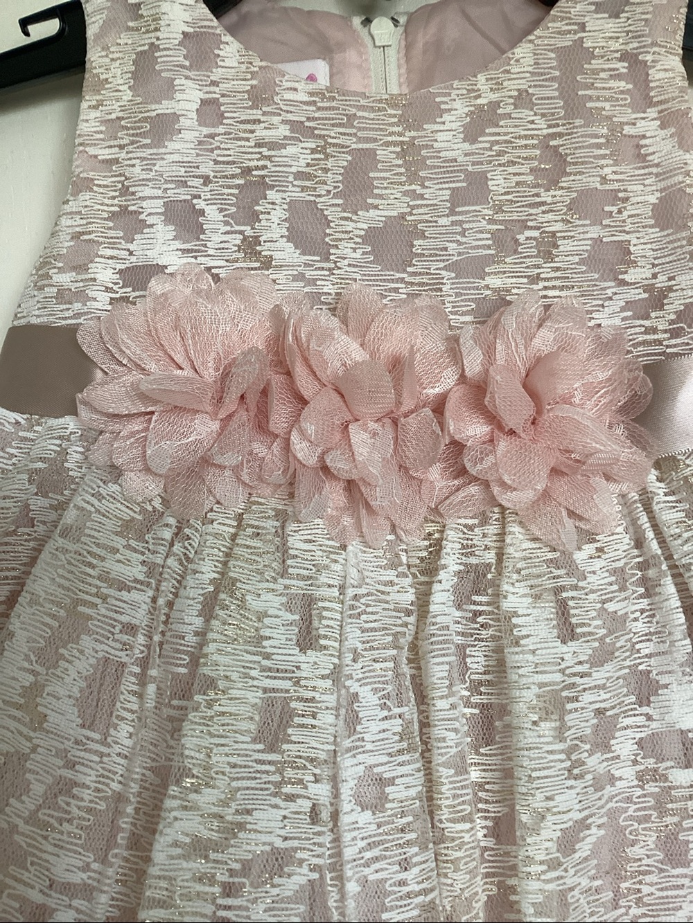 Bonnie Baby Pink and Cream Floral Lace Party Dress & Bloomers - Picture 3 of 5